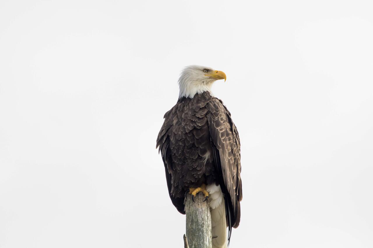 Eagles View Condo In Ocean Shores With 3 Balconies Exteriör bild
