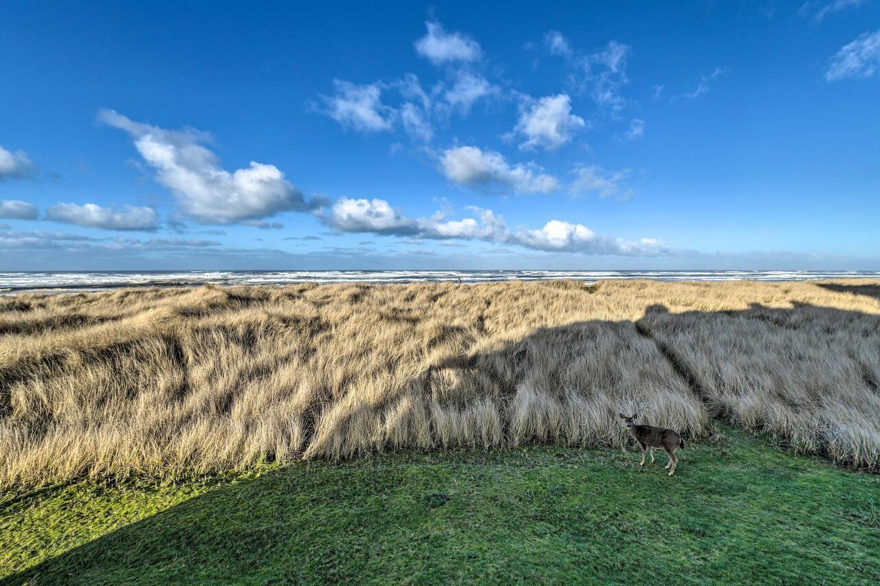 Eagles View Condo In Ocean Shores With 3 Balconies Exteriör bild
